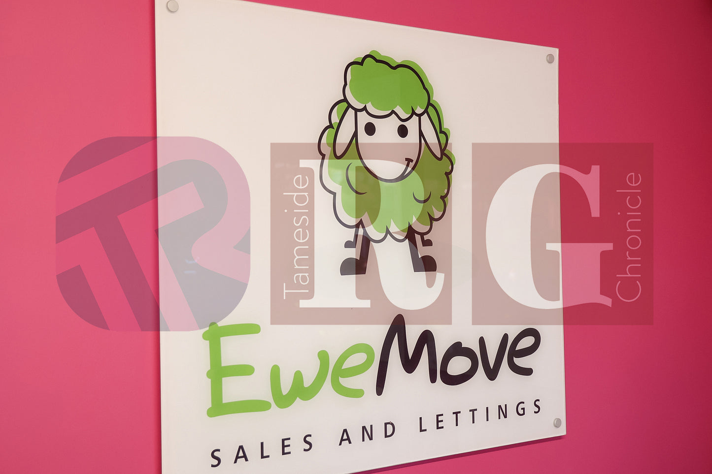HYDE PURPLE HEART SANTA DASH (25).JPG