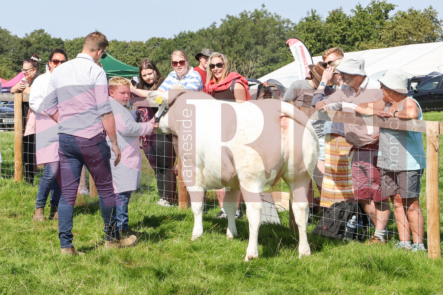MOTTRAM SHOW 2025 (63).JPG