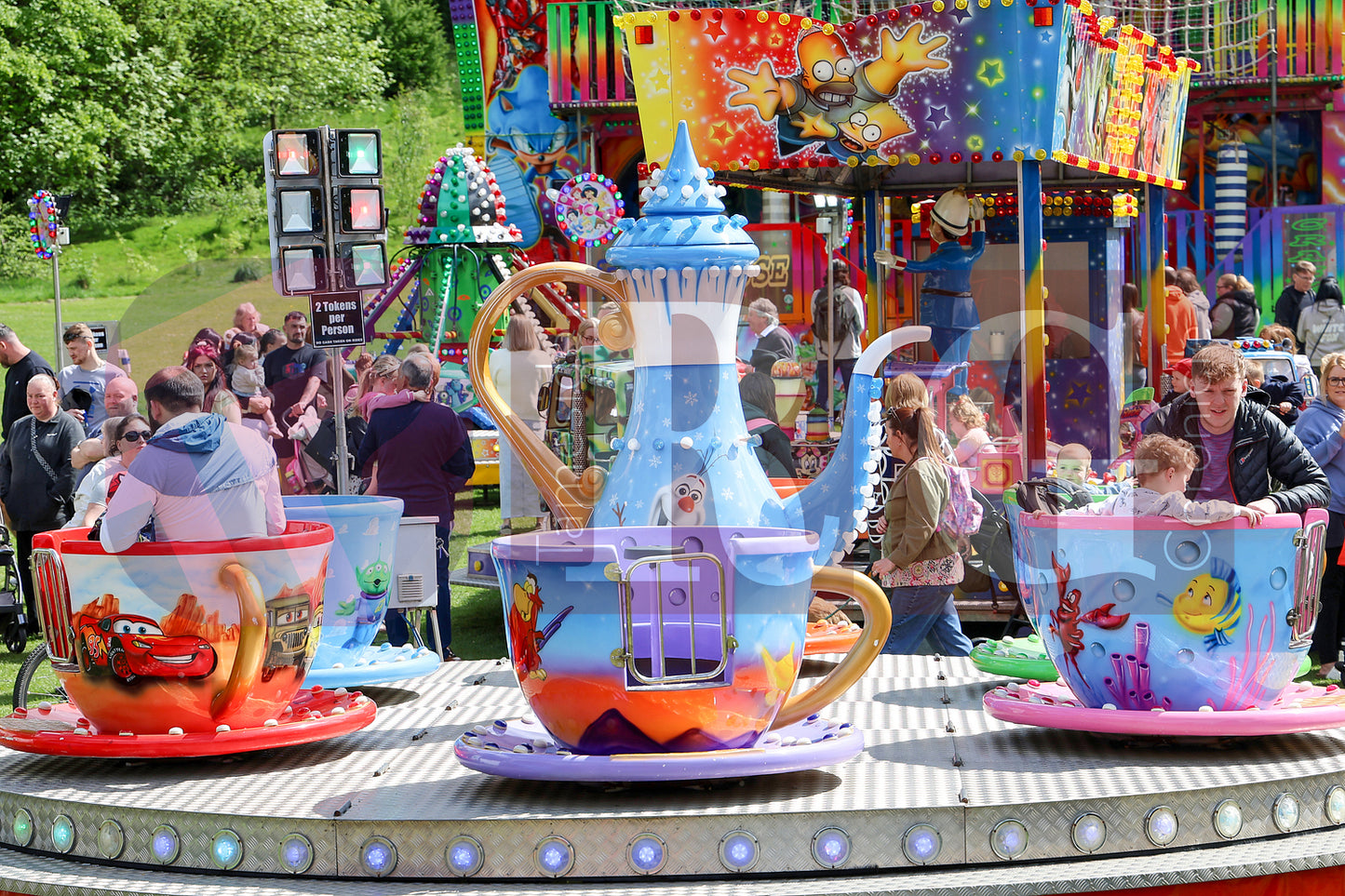 STALYBRIDGE SPRING SHOW (58).JPG