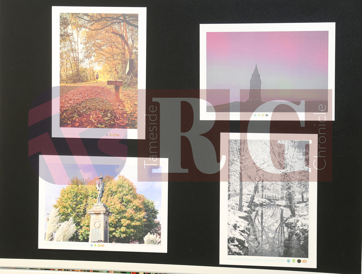 THROUGH THE SEASONS CALENDER 2025 (11).JPG