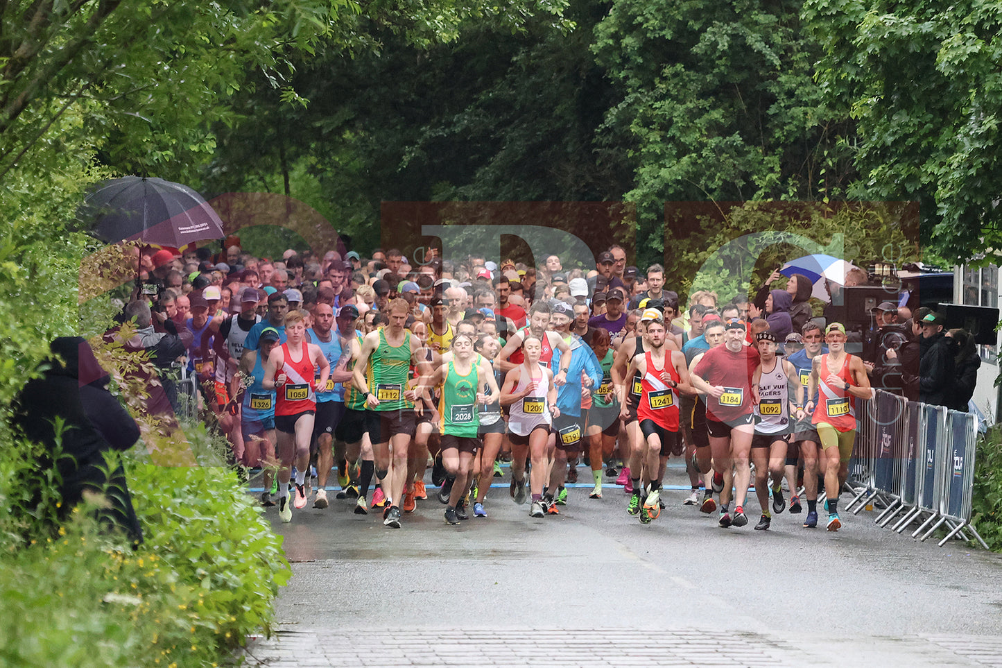 THE TOUR DAY ONE CARD TWO 2024 (4).JPG