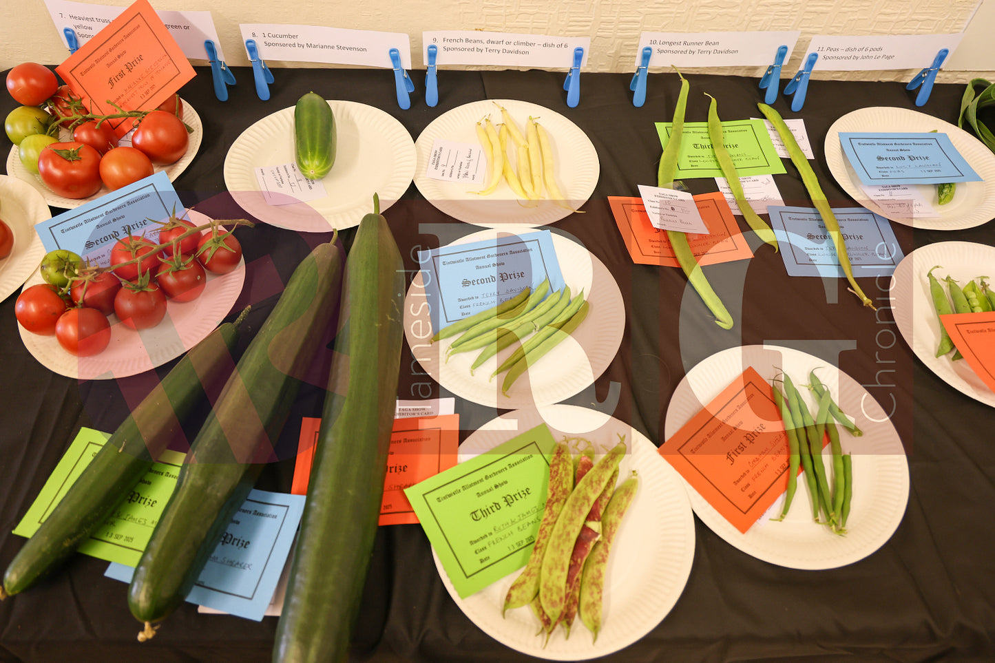 TINTWISTLE GARDENERS SHOW (22).JPG