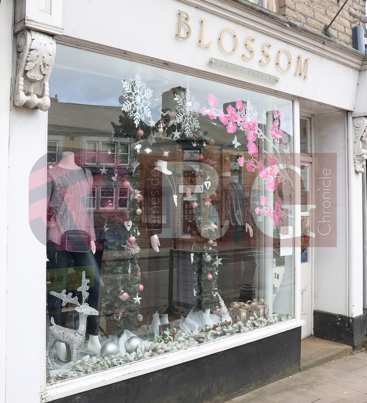 GLOSSOP SHOP XMAS WINDOWS 2024 (24).JPG