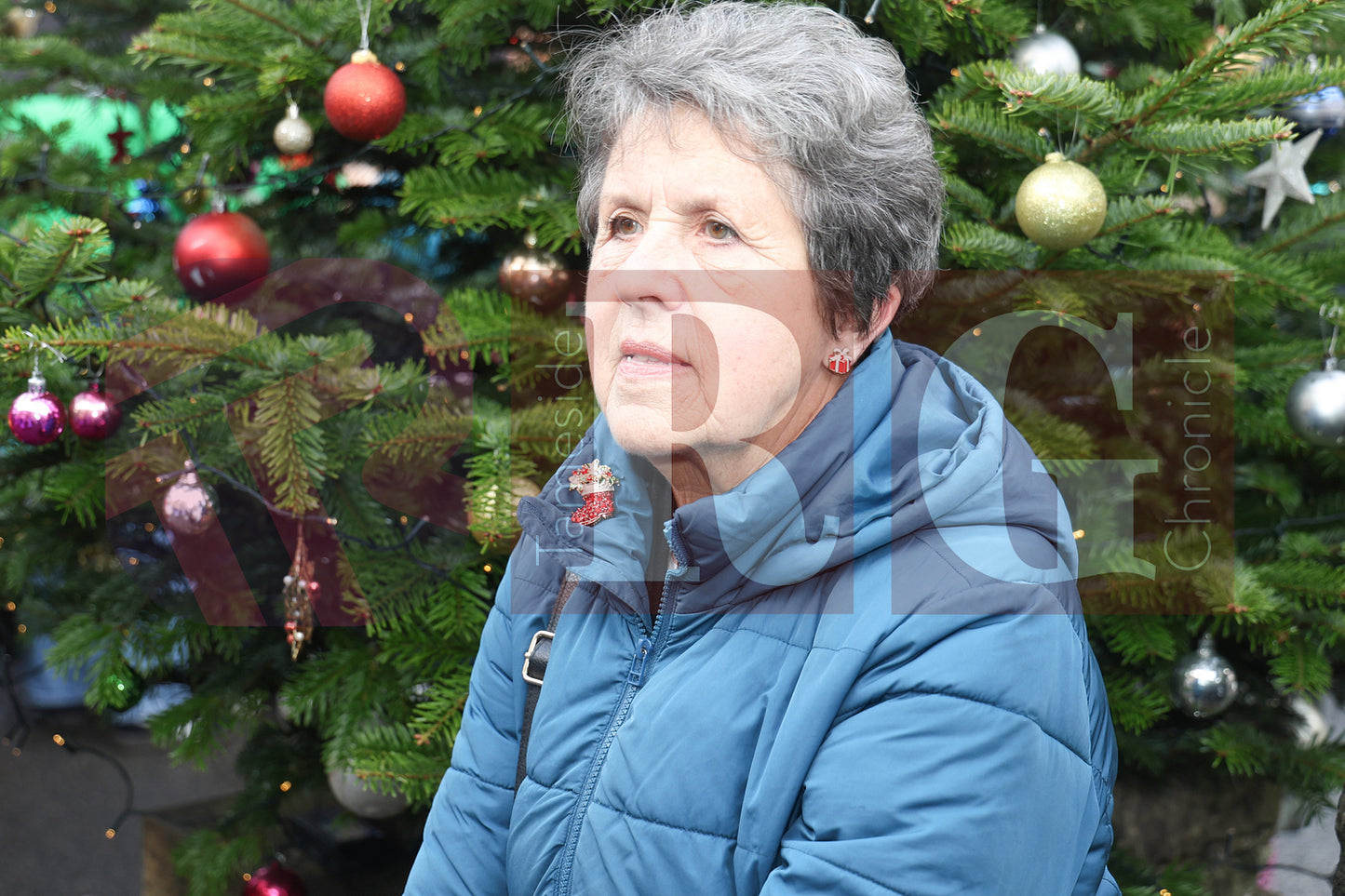 GLOSSOP CHRISTMAS MARKET 2024 (70).JPG
