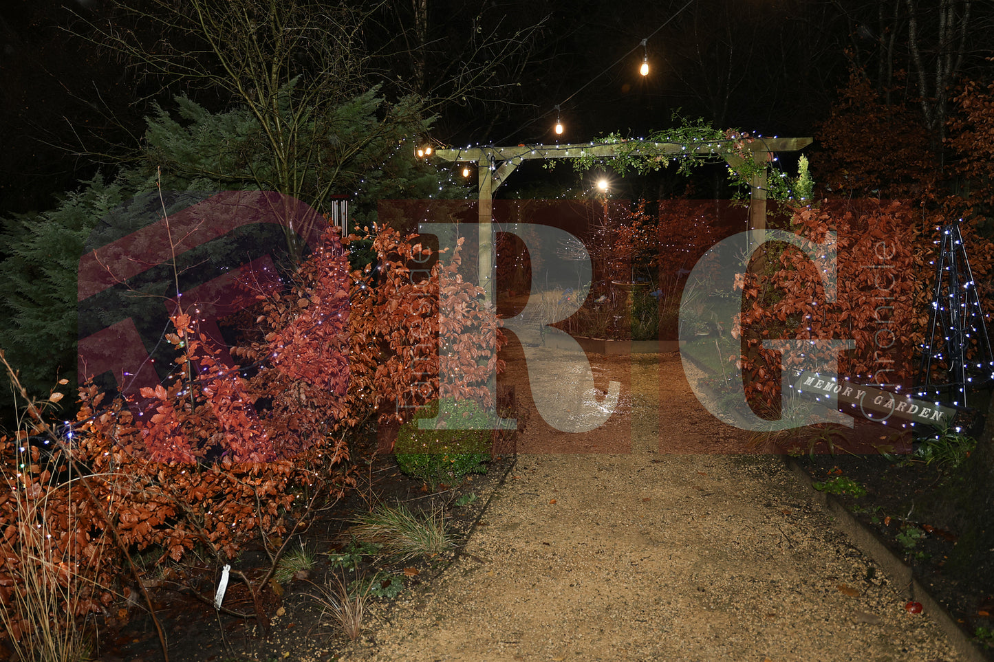 WILLOW WOOD LIGHTS 2024 (20).JPG