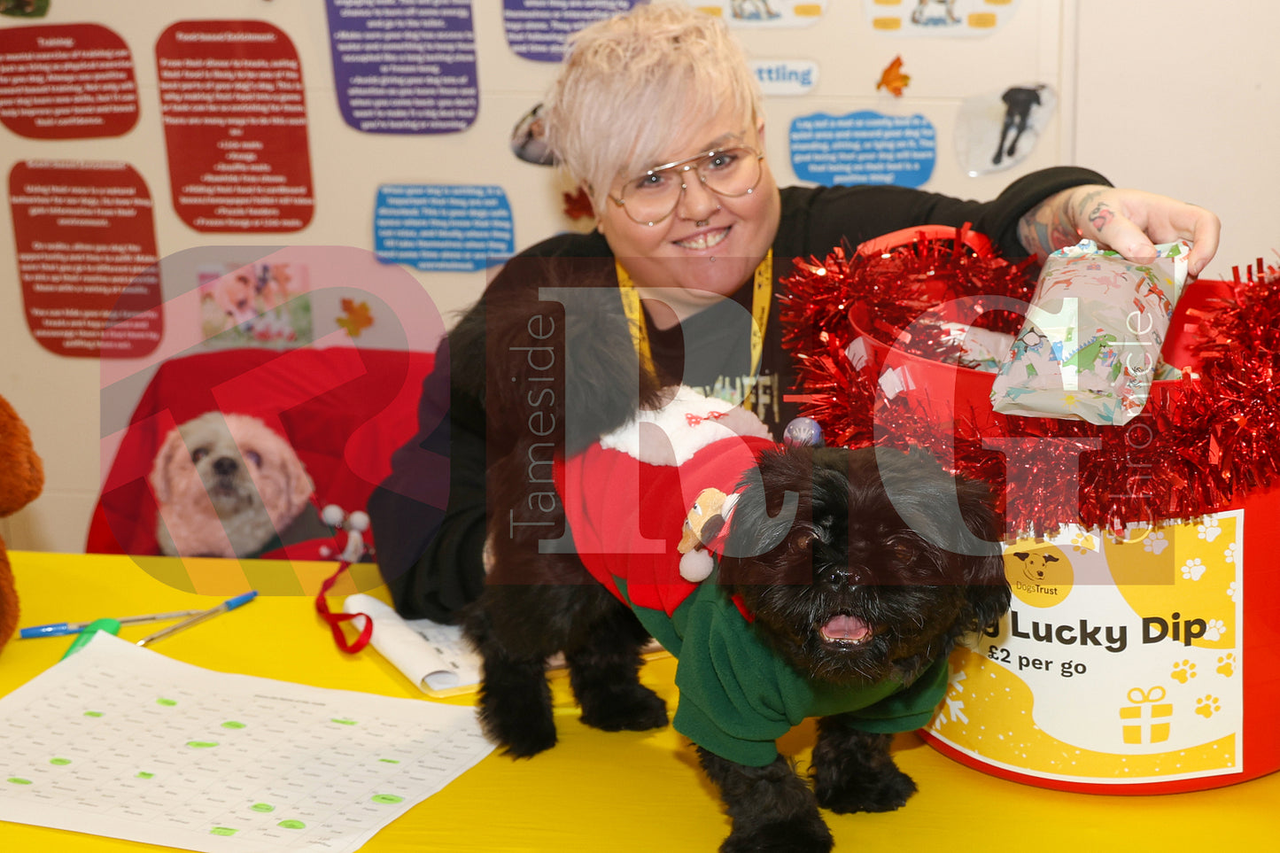 DOG TRUST DENTON XMAS (42).JPG