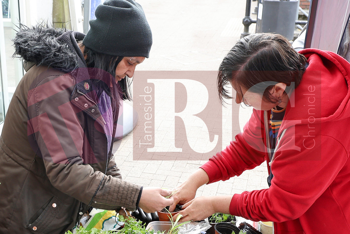 PLANT & SWAP EVENT TESCO STALYBRIDGE 2025 (4).JPG