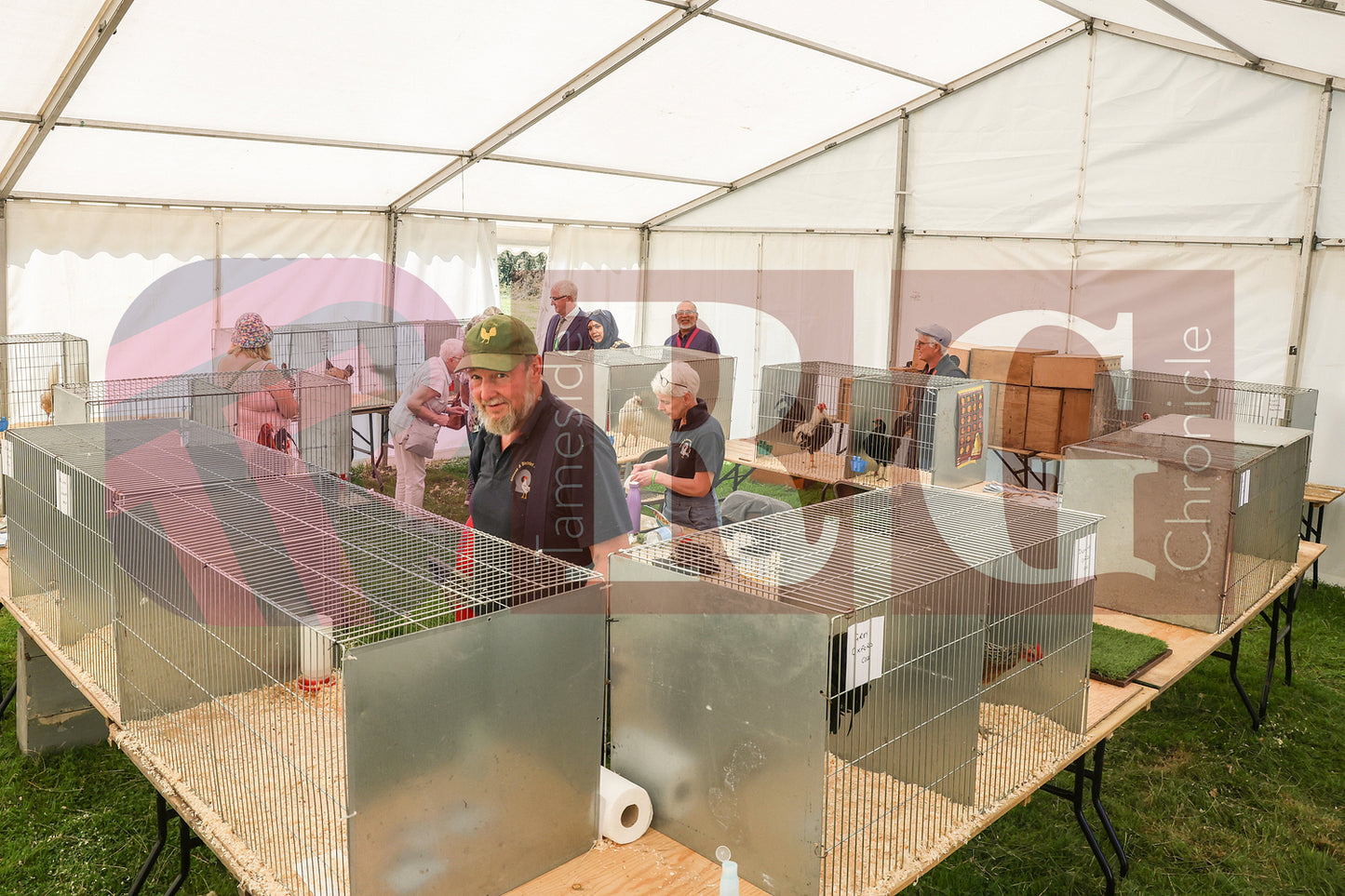 MOTTRAM SHOW 2025 (9).JPG