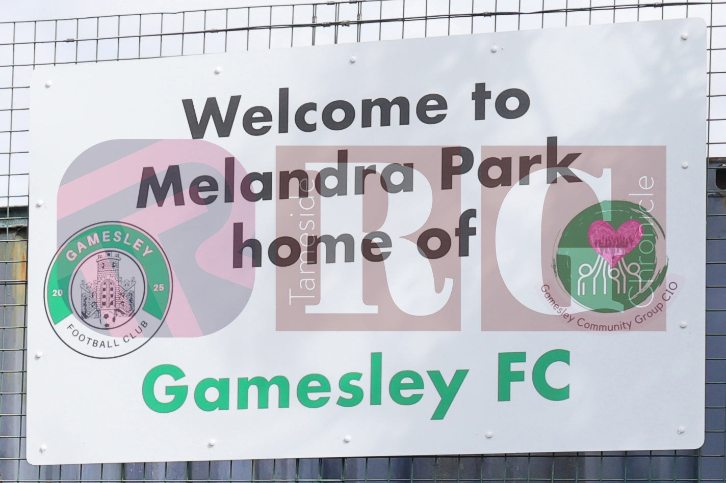 GAMESLEY FOOTBALL FC FAMILY FUN DAY (5).JPG