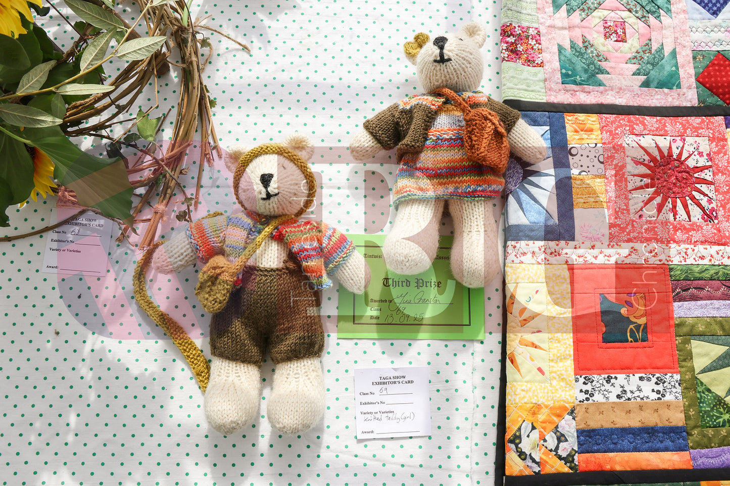 TINTWISTLE GARDENERS SHOW (56).JPG