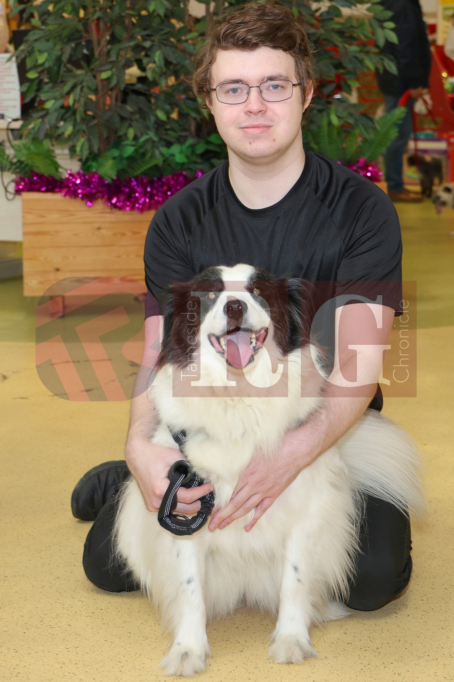 DOG TRUST DENTON XMAS (17).JPG