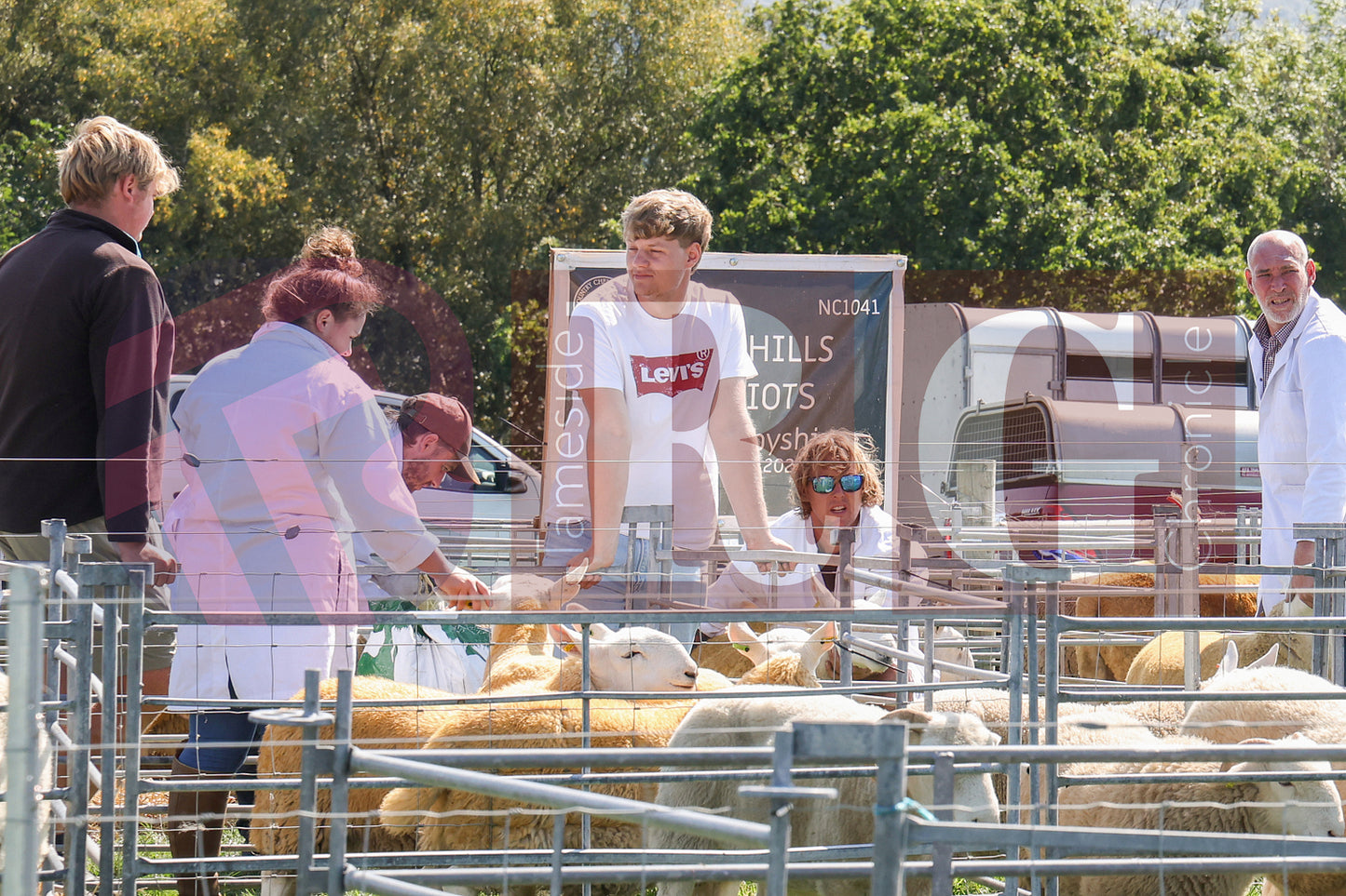 MOTTRAM SHOW 2025 (27).JPG