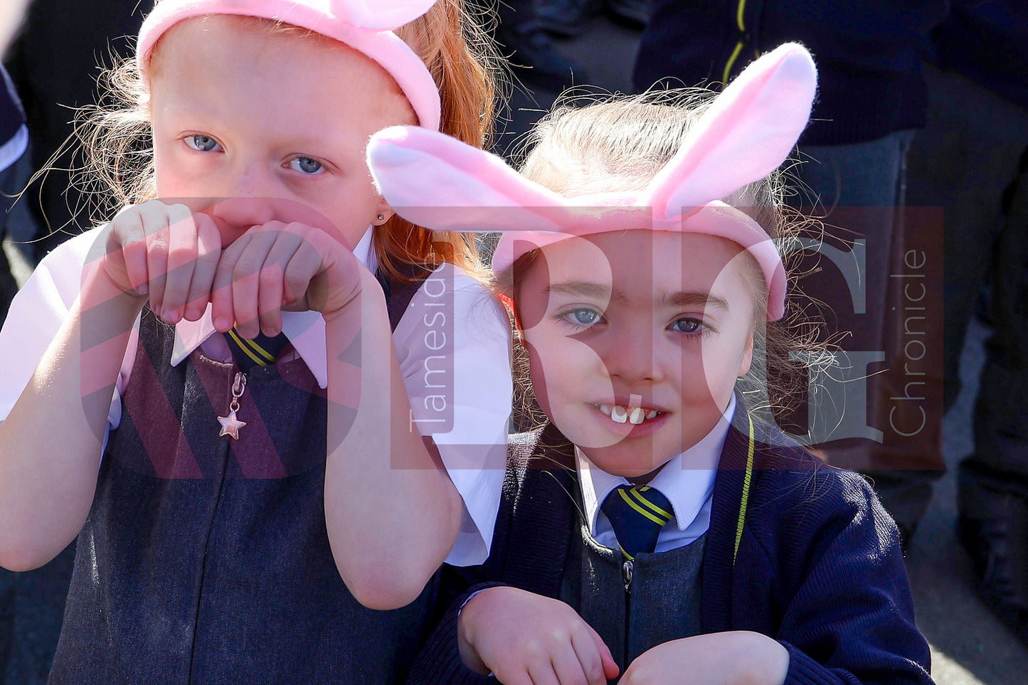 DOWSON PRIMARY BUNNY HOP WILLOW WOOD (5).JPG