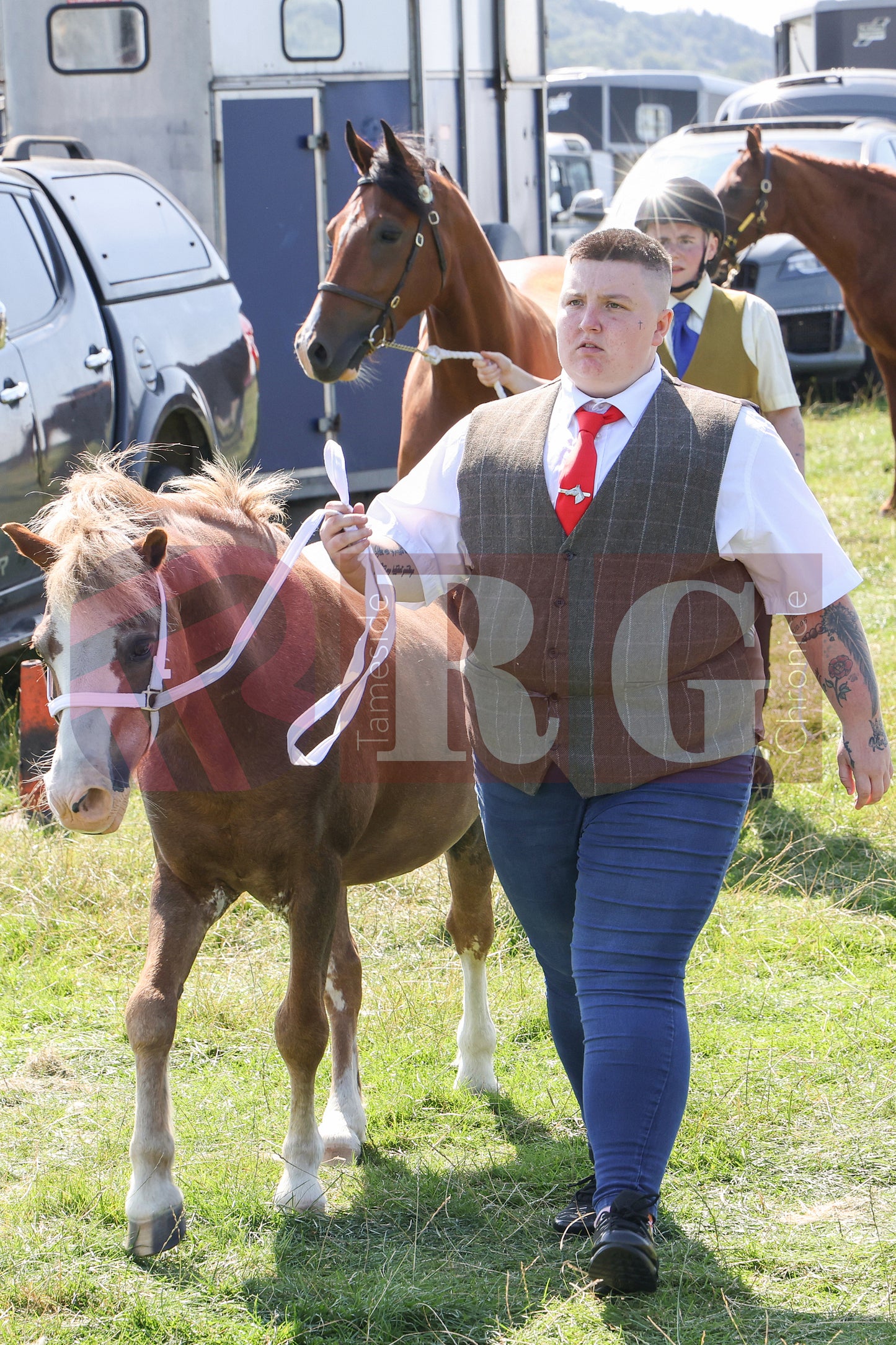 MOTTRAM SHOW 2025 (67).JPG
