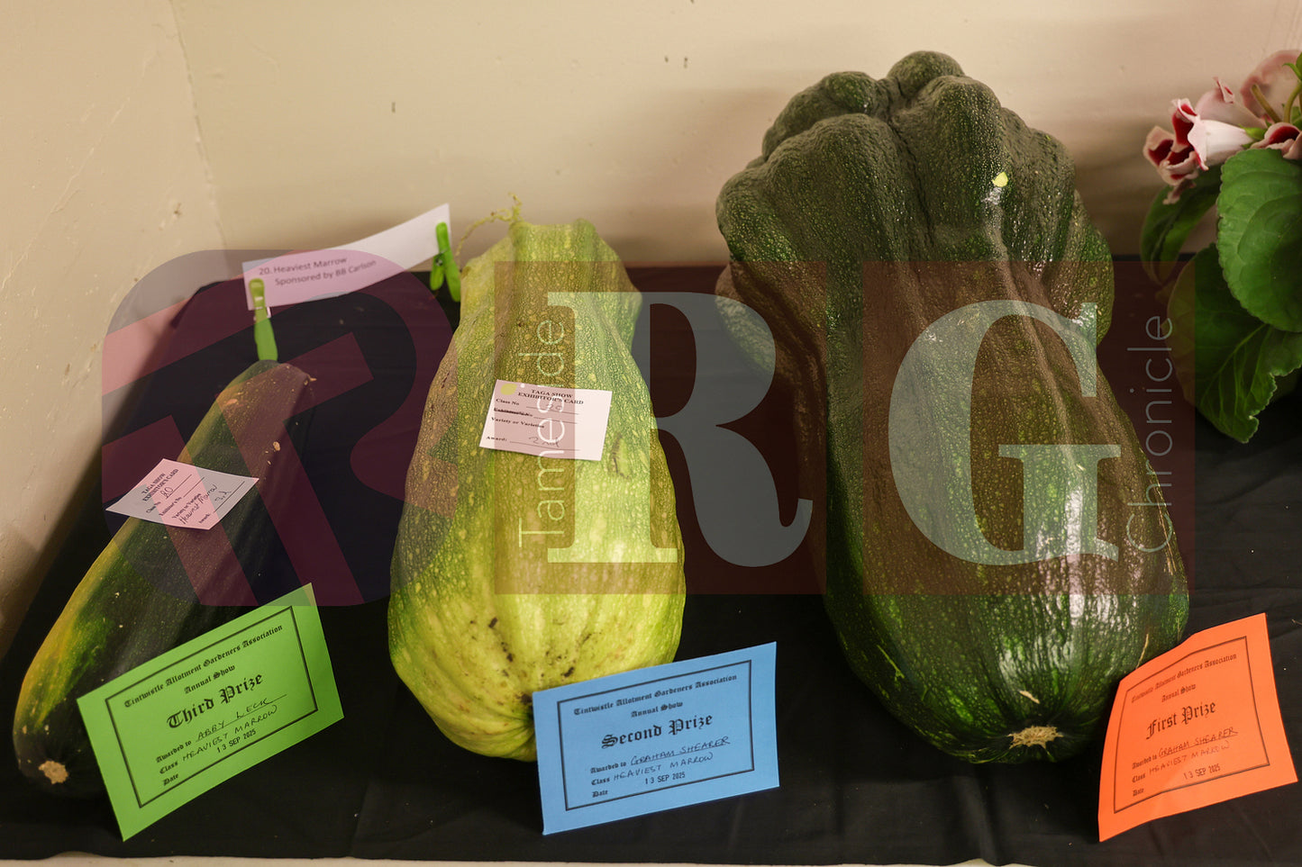 TINTWISTLE GARDENERS SHOW (15).JPG