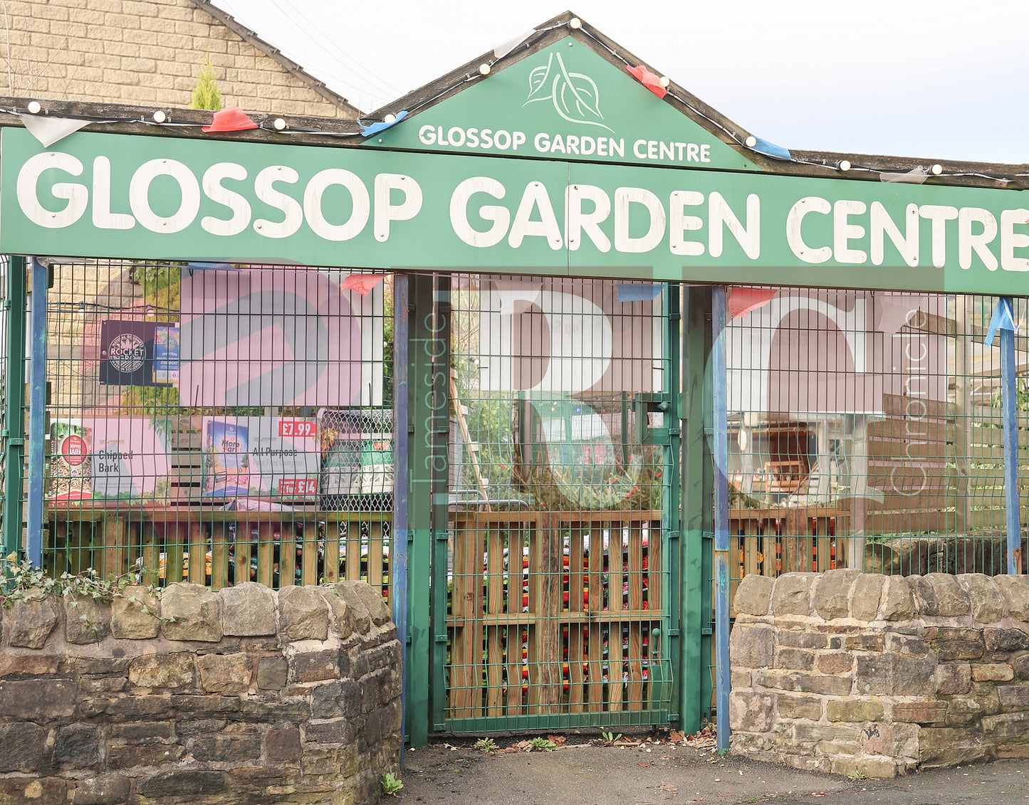 GLOSSOP SHOP XMAS WINDOWS 2024 (1).JPG