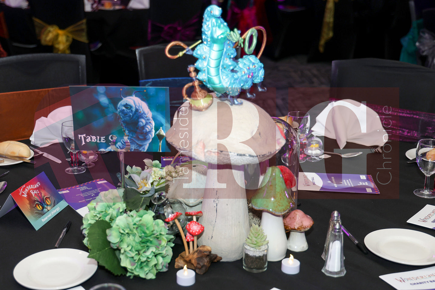 PURPLE HEART WISHES WONDERLAND BALL (29).JPG