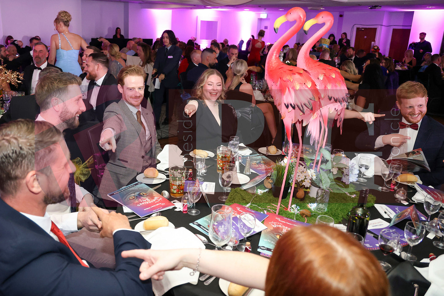 PURPLE HEART WISHES WONDERLAND BALL (118).JPG