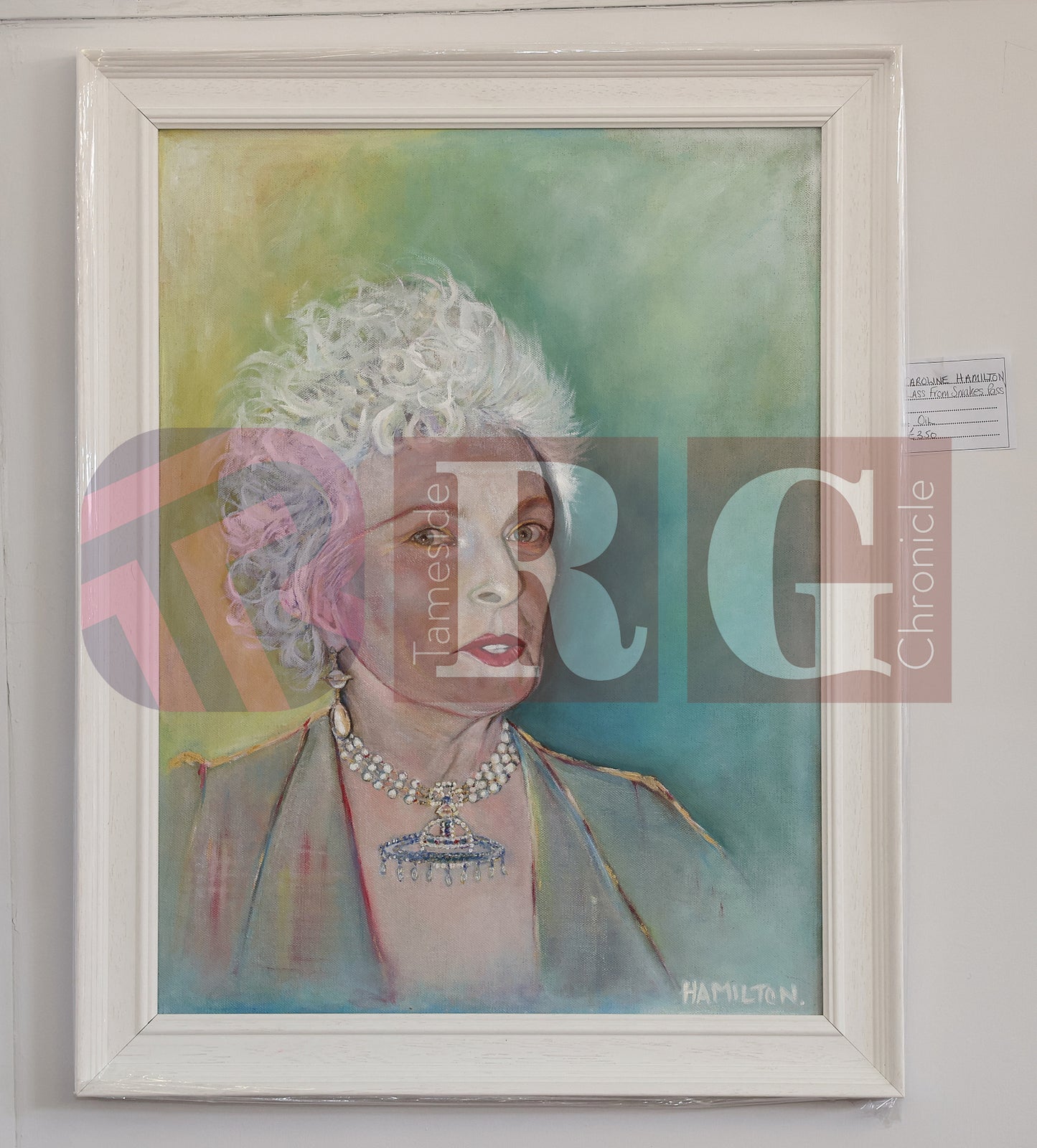 VICTORIA HALL EXHIBITION 2025 (38).JPG