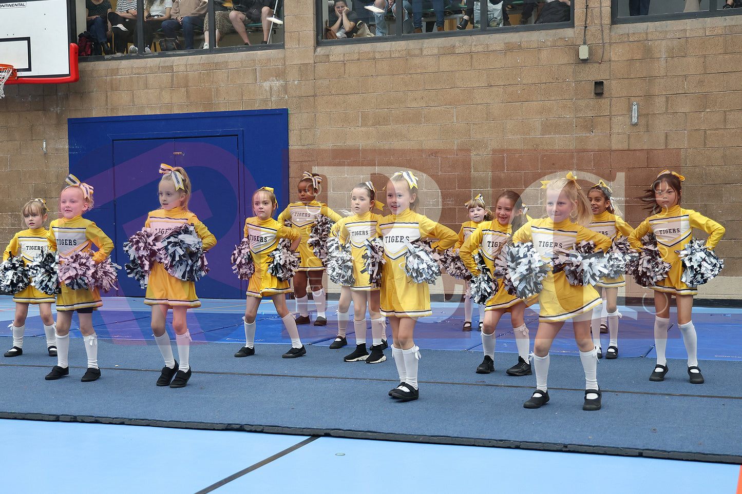 CHEERLEADING FESTIVAL ACTIVE COPLEY (55).JPG