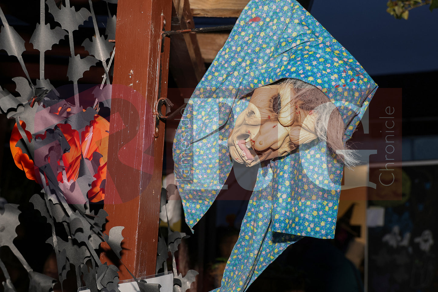 HALLOWEEN PARTY AT BLOOM HYDE (15).JPG