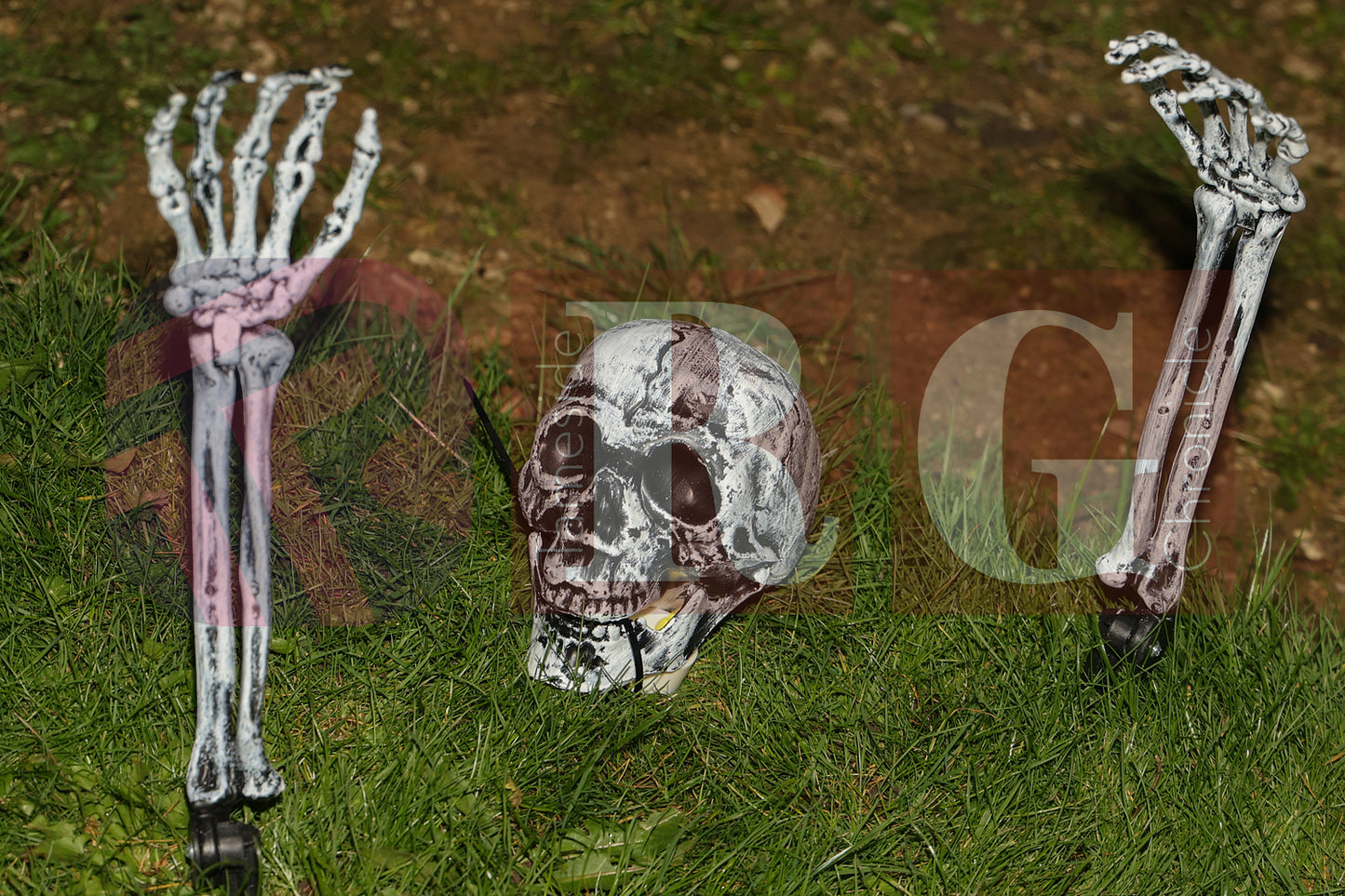 HALLOWEEN WATERLOO PARK (47).JPG