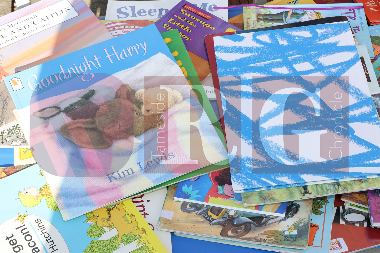 WILD BANK WORLD BOOK DAY 2025 (34).JPG