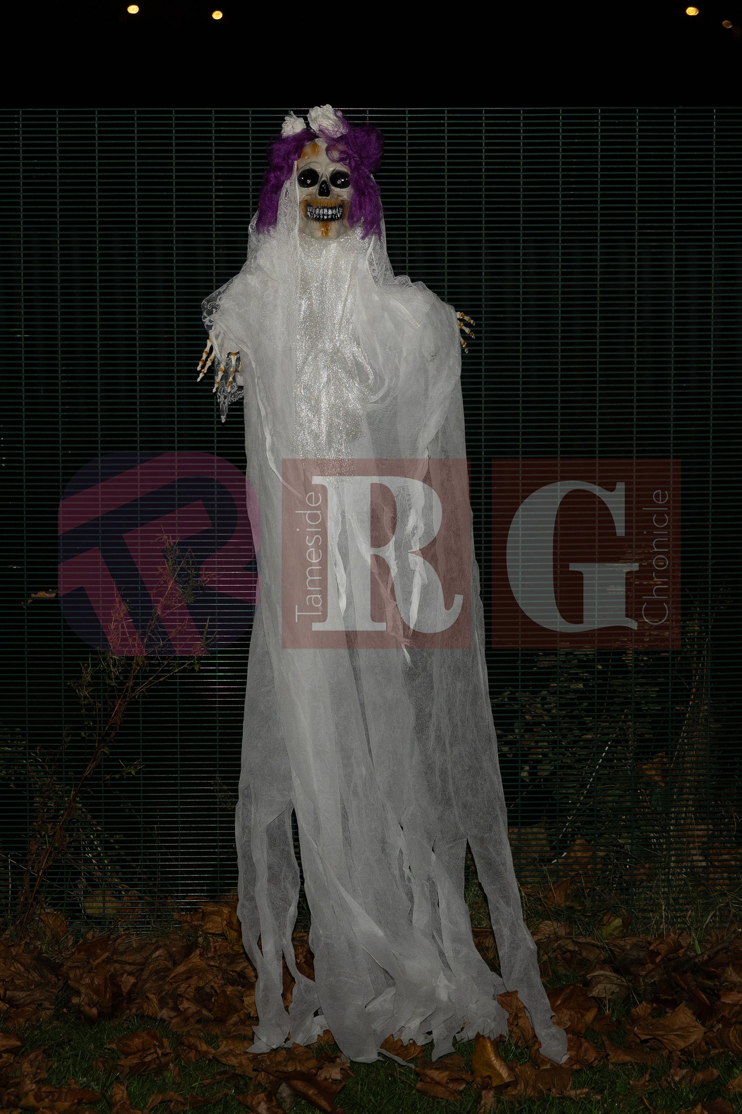 WATERLOO PARK ASHTON HALLOWEEN (49).JPG