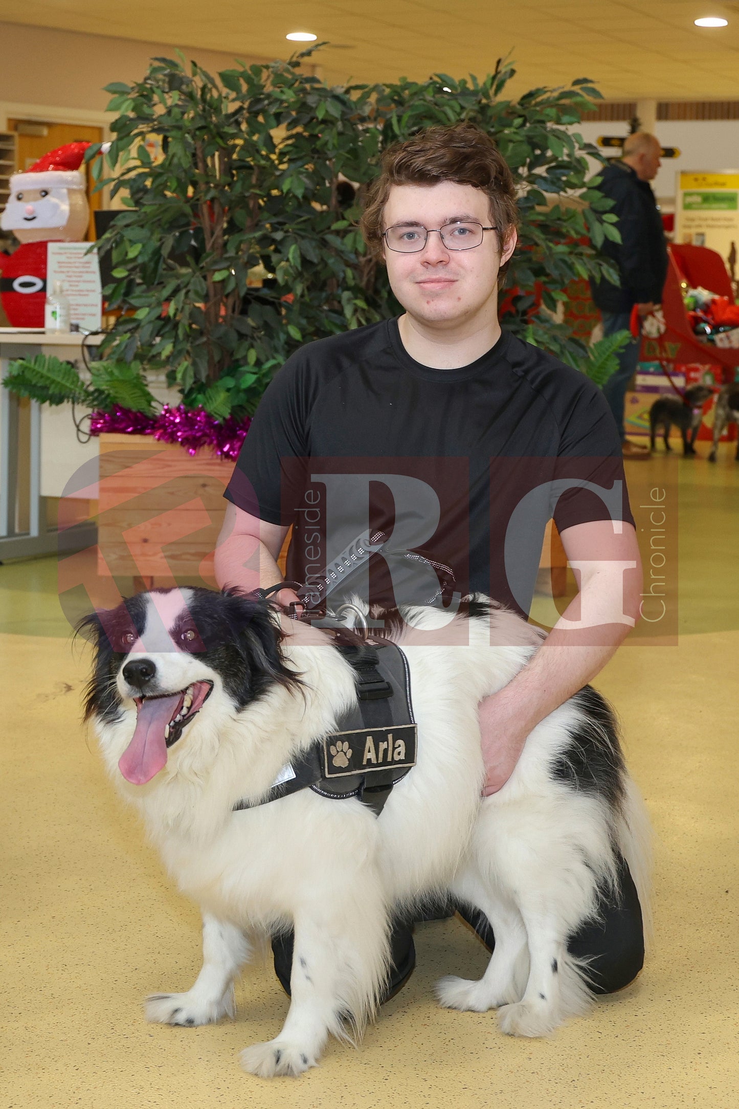 DOG TRUST DENTON XMAS (15).JPG