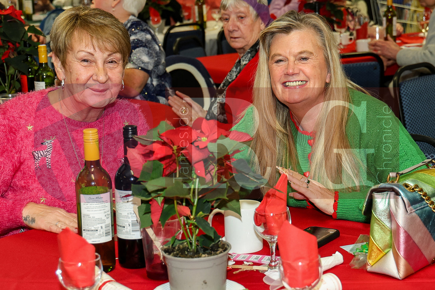 HATTERSLEY FORUM PENSIONERS PARTY 2025 (11).JPG