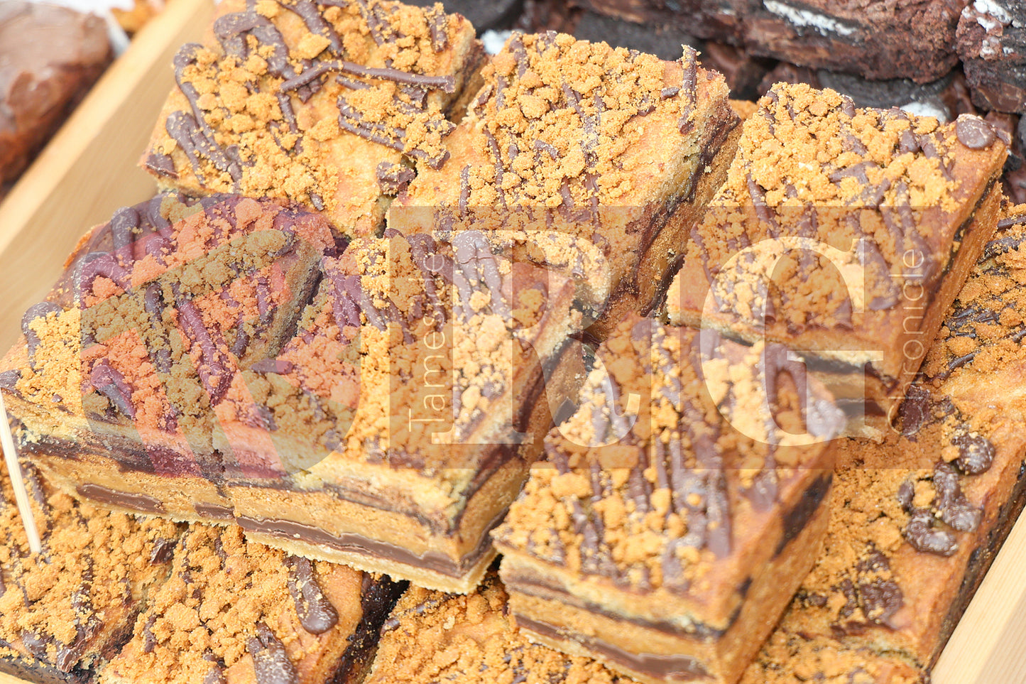 FESTIVAL ON THE GREEN 2025 (11).JPG