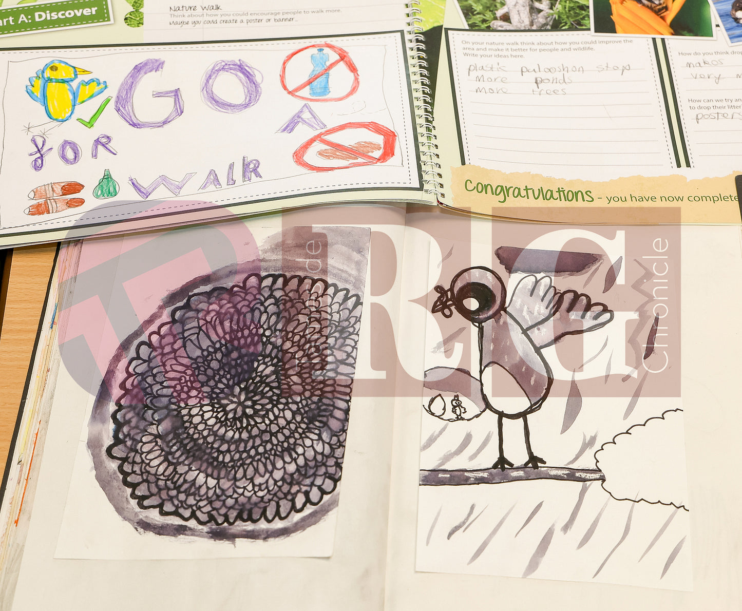 ALDWYN PRIMARY ARTS 2025 (1).JPG