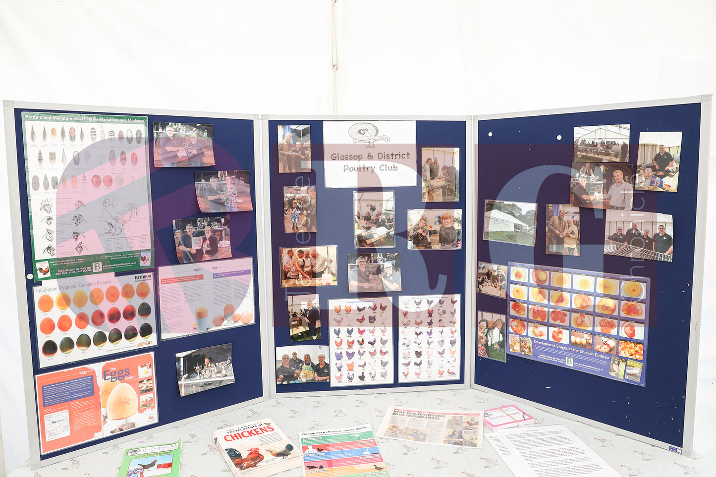 MOTTRAM SHOW 2025 (12).JPG