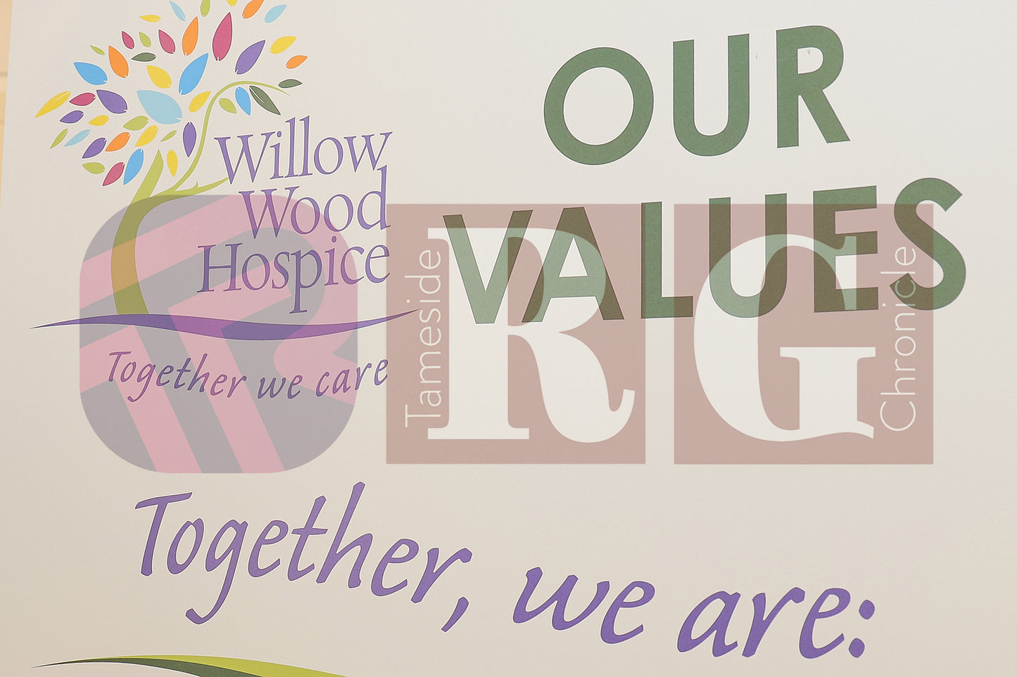 WILLOW WOOD GUINNESS WORLD RECORD 2025 (23).JPG