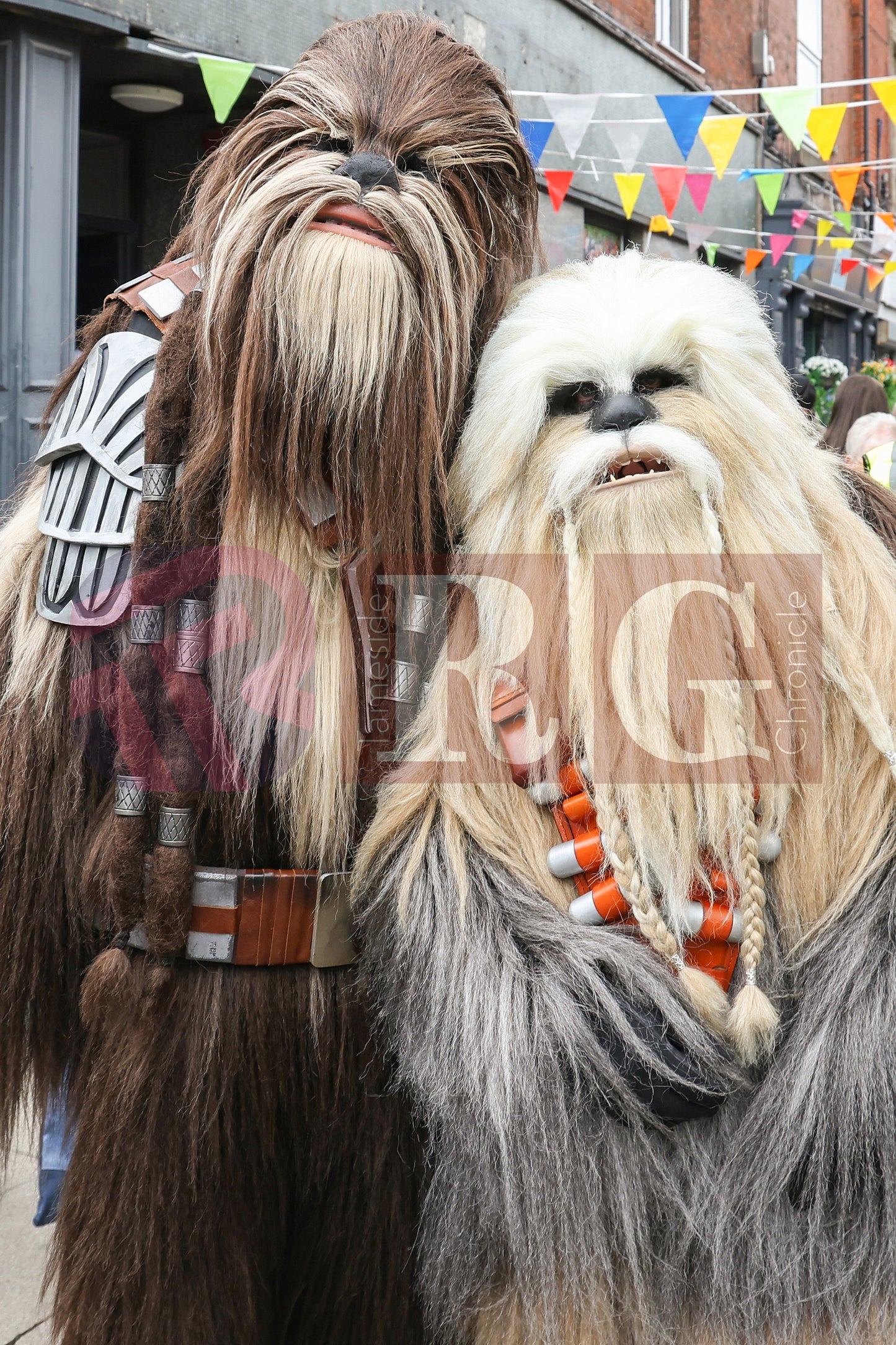 ASHTON STREET LIFE (229).JPG