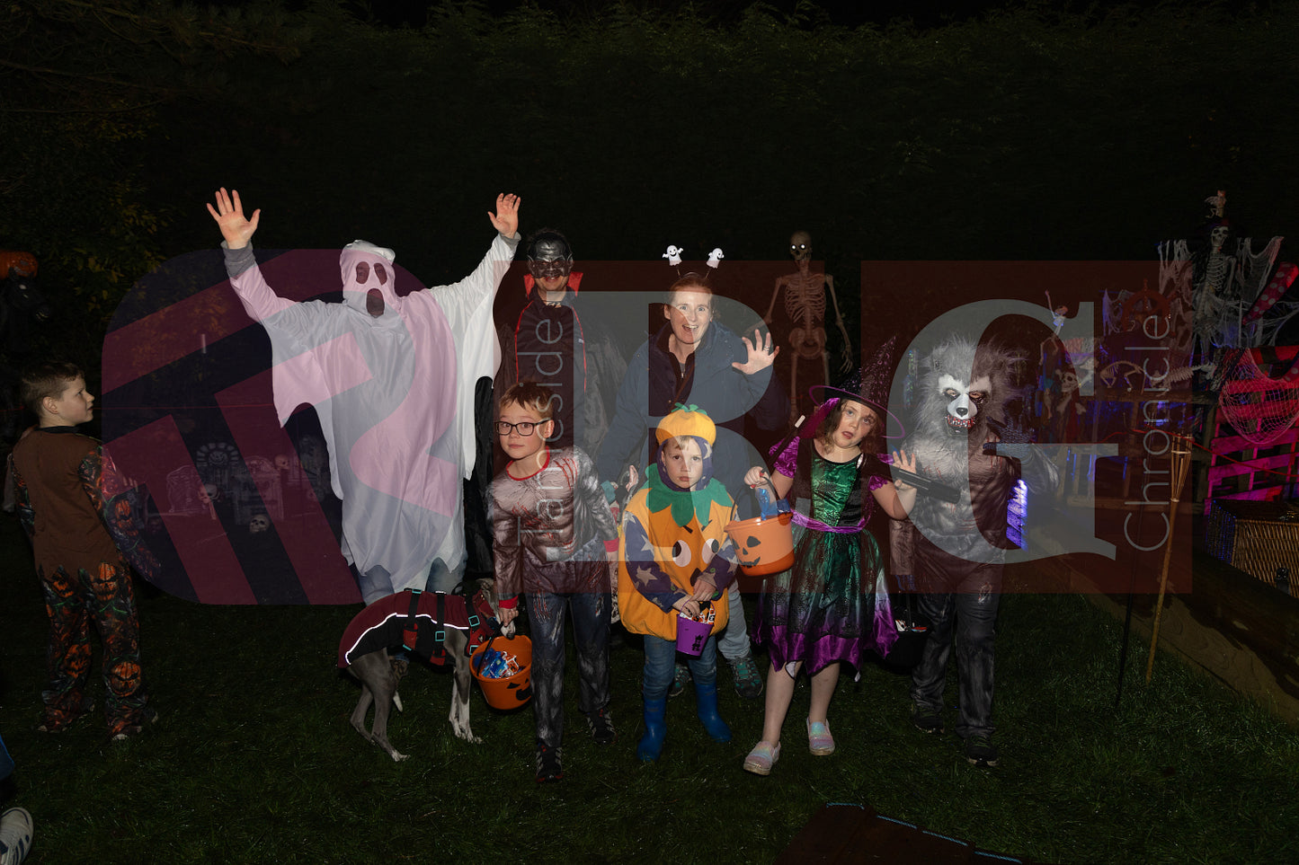 HALLOWEEN SYCAMORES HADFIELD GLOSSOP (61).JPG