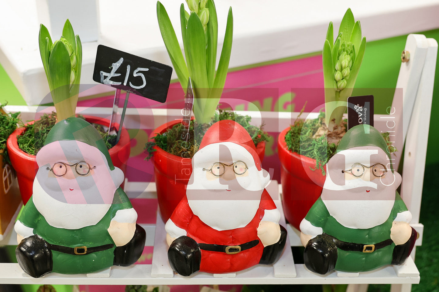HYDE CHRISTMAS 2025 (58).JPG