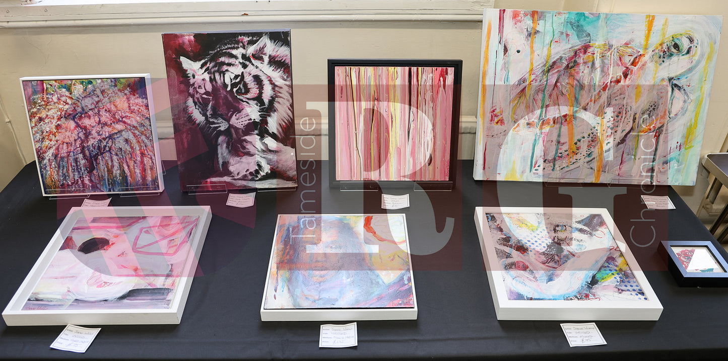 VICTORIA HALL EXHIBITION 2025 (23).JPG