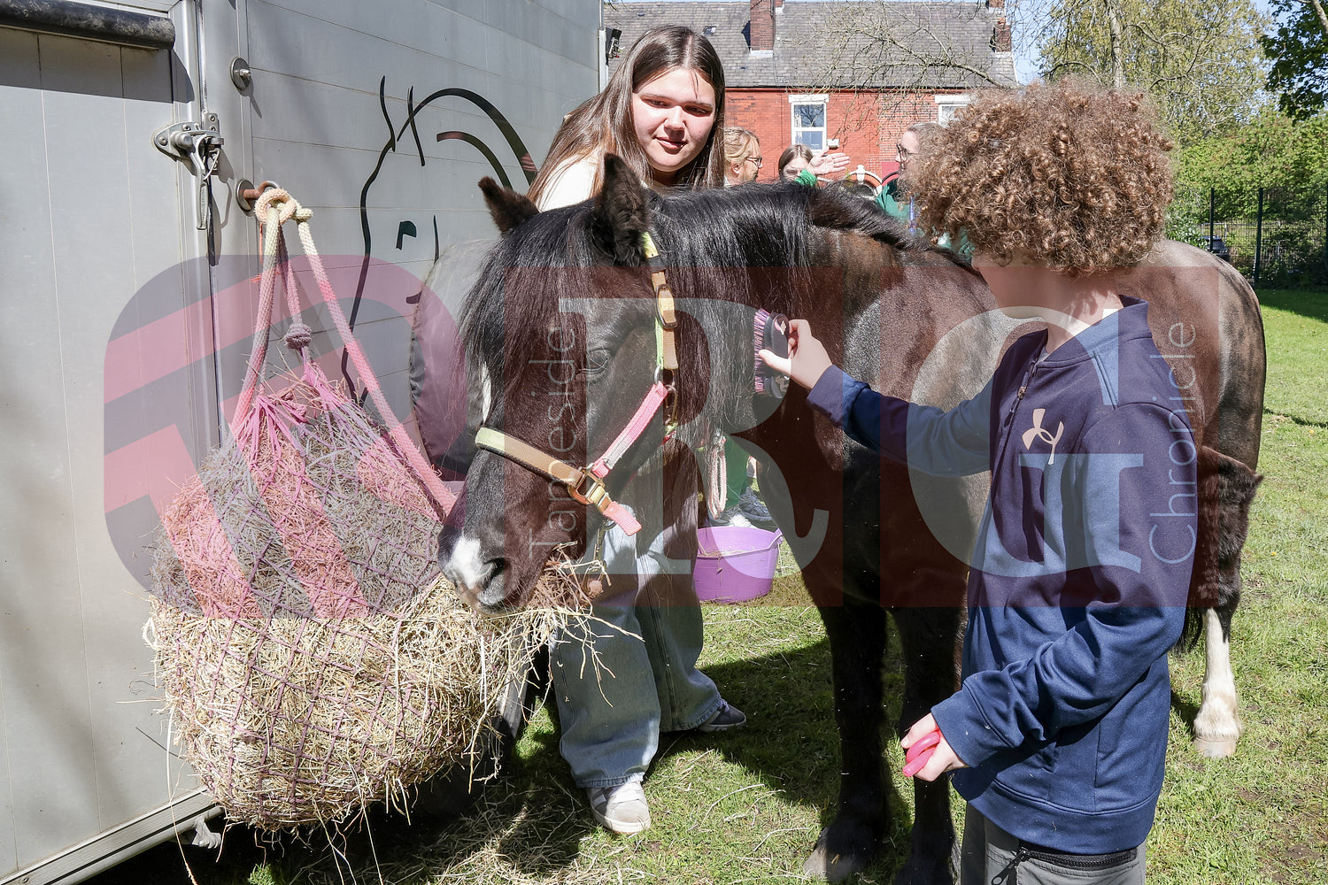 AUTISM INFO EVENT (20).JPG