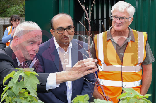 WATERLOO PARK BRITAIN IN BLOOM 2025 (26).JPG