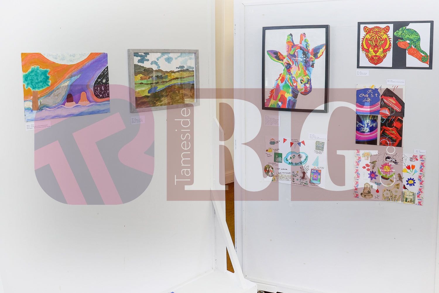 VICTORIA HALL ART GALLERY 2025 (8).JPG