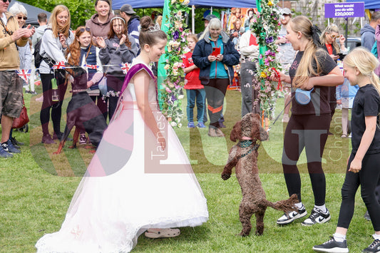 STALYBRIDGE SPRING SHOW (82).JPG