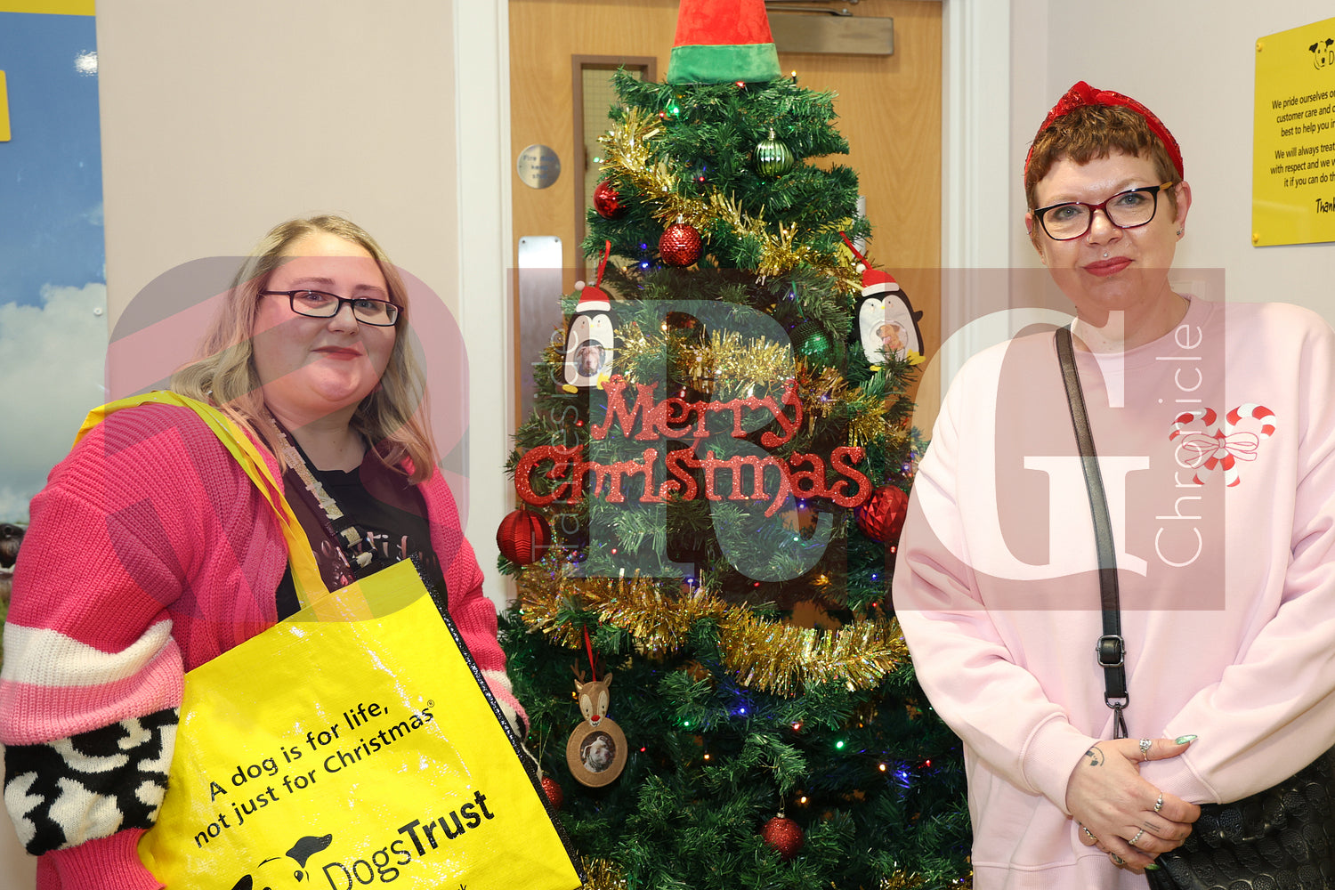 DOG TRUST DENTON XMAS (10).JPG