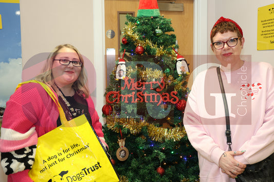 DOG TRUST DENTON XMAS (10).JPG