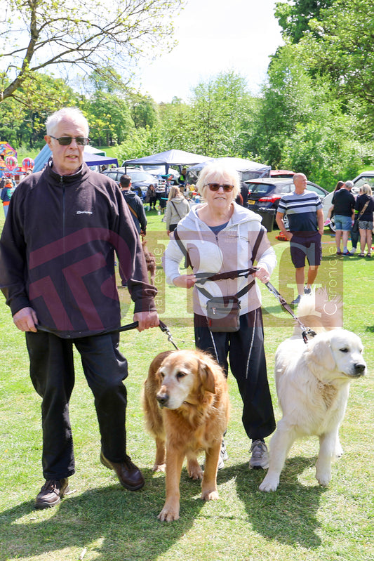 STALYBRIDGE SPRING SHOW (2).JPG