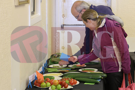 TINTWISTLE GARDENERS SHOW (37).JPG
