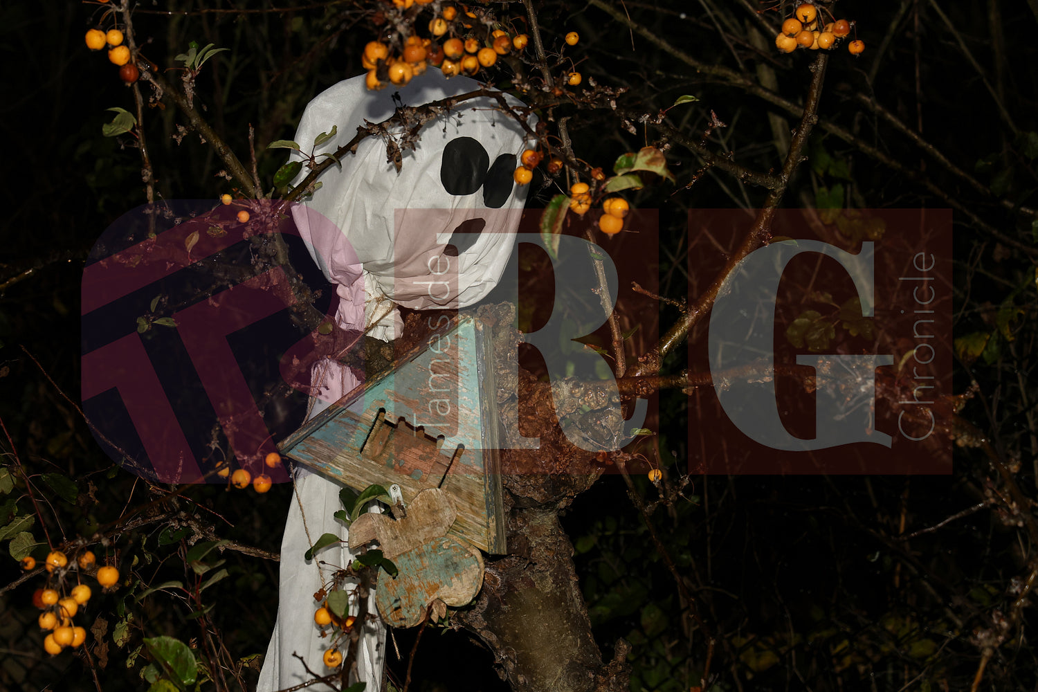 HALLOWEEN PARTY AT BLOOM HYDE (28).JPG