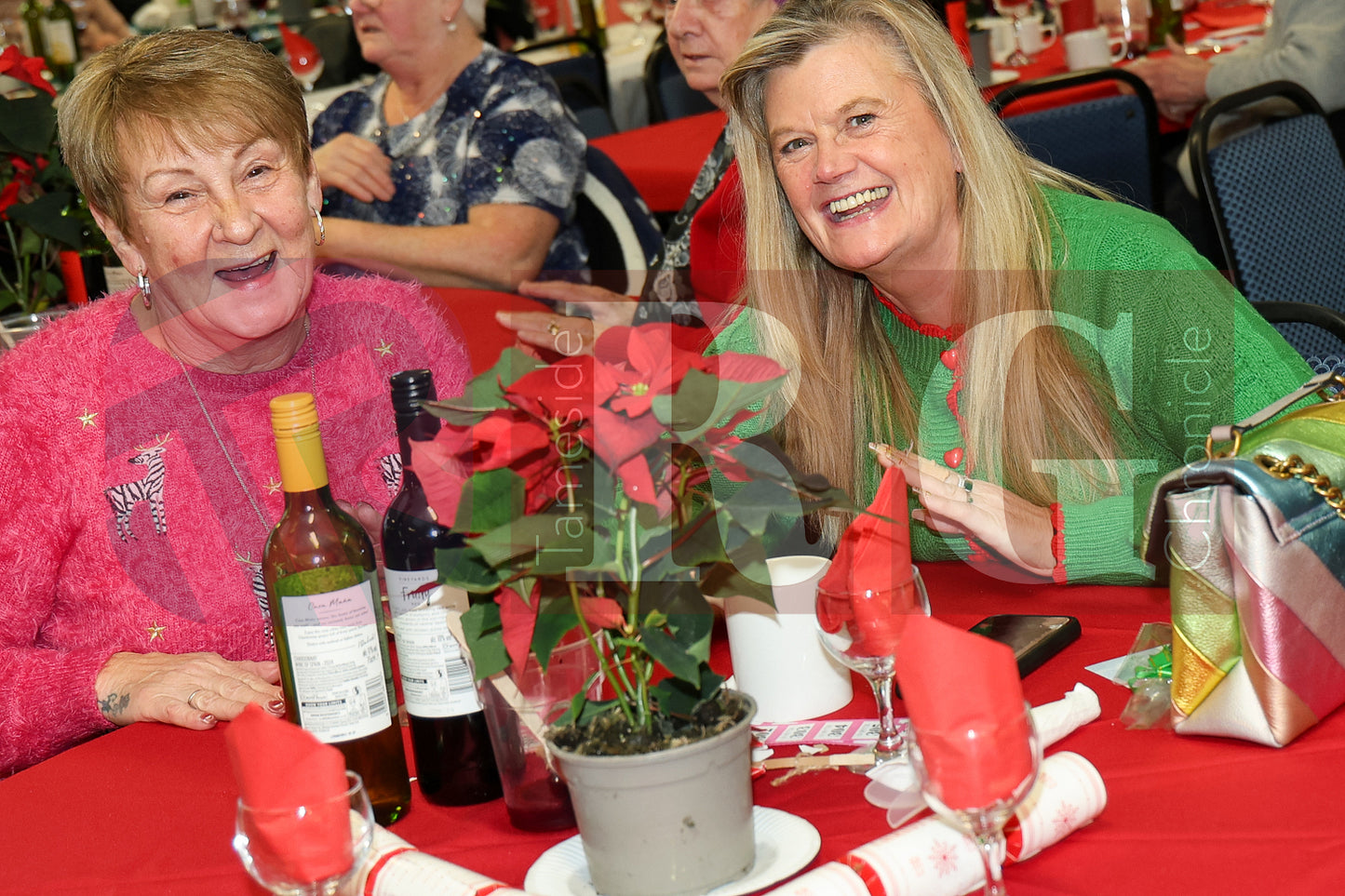 HATTERSLEY FORUM PENSIONERS PARTY 2025  (10).JPG