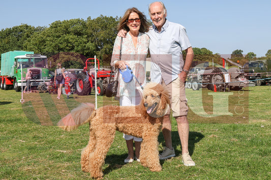 MOTTRAM SHOW  2025 (137).JPG