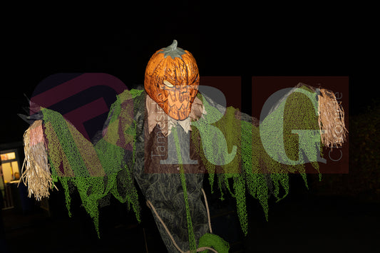 WATERLOO PARK  ASHTON HALLOWEEN  (4).JPG